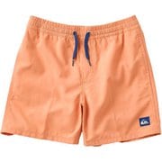 EVERYDAY SOLID VL YTH 14 キッズ サーフパンツ NHZ0 160サイズ EQBJV03517