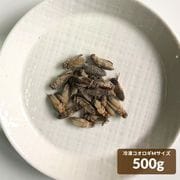 冷凍 イエコオロギ Mサイズ 500g