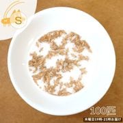 活きイエコオロギ ヨーロッパイエコオロギ Sサイズ 100匹 [お届け日：木曜日 19時-21時指定]