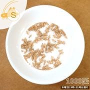 活きイエコオロギ ヨーロッパイエコオロギ Sサイズ 1000匹 [お届け日：木曜日 19時-21時指定]