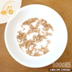 活きイエコオロギ ヨーロッパイエコオロギ Sサイズ 1000匹 [お届け日：土曜日 18時-20時指定]