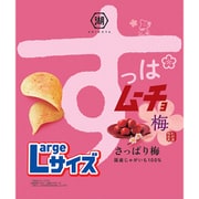 Largeサイズ すっぱムーチョチップス さっぱり梅 118g