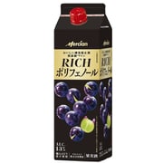 おいしい酸化防止剤無添加赤ワイン リッチポリフェノール ボックス 13度 1000ml [赤ワイン]