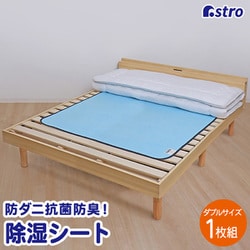 ドライ＆ドライ 防ダニ抗菌防臭！吸湿マット ダブル 614-99