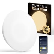 シーリングライト 6畳 W2612230