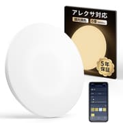 シーリングライトプロ 6畳 W2612210