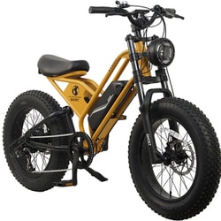 ヨドバシ.com - サイクー CYCOO 電動アシスト自転車 GHOST 20