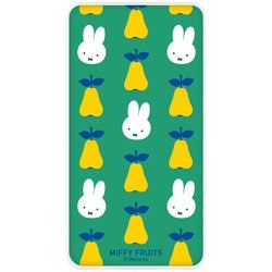 FRUITS Type-C4000mAhリチウム充電器 MIFFY MF-581A