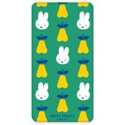 FRUITS Type-C4000mAhリチウム充電器 MIFFY MF-581A