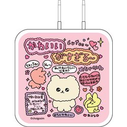 チェゴシム Type-C ACアダプタ カワイイガスギル CGS-05A