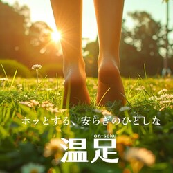 【新品未開封】SYN SENSOR 温足 ふくらはぎタイプ 楽天市場】健康増進機器 (遠赤ソックス) シンセンサー 温足