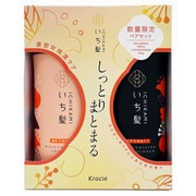 限定 いち髪 シャンプー&コンディショナーぺアセット(濃密W保湿ケア)25S 480ml+480g
