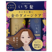 限定 いち髪 シャンプー＆コンディショナーぺアセット（ダメージリペア＆カラーケア）25S 480ml+480g