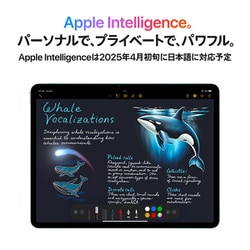 新品 13インチ M3 Apple iPad Air 512GB スペースグレイ iPad Air 13（M3） Apple M3 13型 Wi-Fiモデル ストレージ