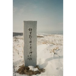 ヨドバシ.com - フィルムネバーダイ FILM NEVER DIE ネガカラー