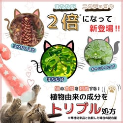 ヨドバシ.com - アース・ペット ねこモテ フリフリにゃーW