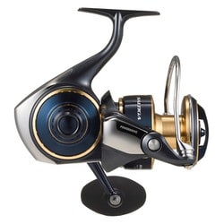 ヨドバシ.com - ダイワ Daiwa 大型スピニングリール 25