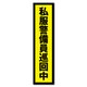 GSJ-403 防犯ステッカー 私服警備員巡回中