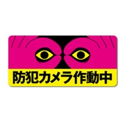 GSJ-407 防犯ステッカー ビッグサイズ 防犯カメラ作動中 イラスト