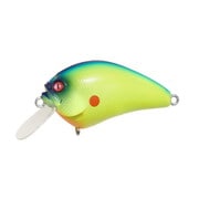 IXI BLOWLY ブルーバックチャート
