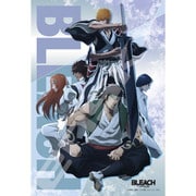 300-3162 BLEACH 千年血戦篇-相剋譚- [ジグソーパズル 300ピース]