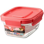 PL-3181 [パックスタッフ ジャストロック 長方形 M 1個入]