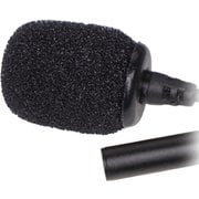 WLP Dual(3.5mm, Black) DTS0297D60