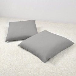 座布団カバー （55cm×59cm） 2枚セット 無地オックス・フロストグレイ W3403000