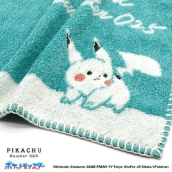 【逸品】 pokémon time  シェニールタオルハンカチ  ポケモンタイム 逸品】 pokémon time シェニールタオルハンカチ ポケモンタイム