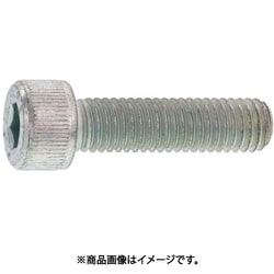 SUNCO CAP 日本鋲螺 16 × 100 （15本入） A0-00-000B-0160-1000-00