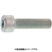 SUNCO CAP 日本鋲螺 16 × 160 (12本入) A0-00-000B-0160-1600-00