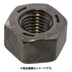 SUNCO ドブ F8Tハイテン用ナット M20（1本入り） M0-00-3001-0200-0000-12-1P