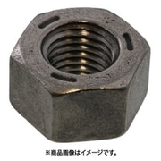 SUNCO ドブ F8Tハイテン用ナット M24(1本入り) M0-00-3001-0240-0000-12-1P