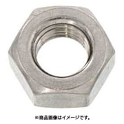 SUNCO ディスゴ SUS ナット 2種 輸入品 M10(10本入り) M0-02-U100-0100-0000-54-10P