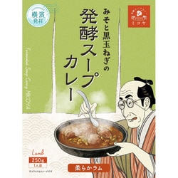 発酵スープカレー 柔らかラム 250g 発酵×スパイスの新ジャンルスープカレー