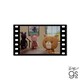 KOMA-009 こまねこ 映画風フィルムステッカー みつめる