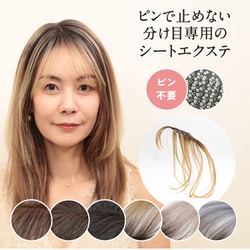 SHEET EXTE アッシュゴールド