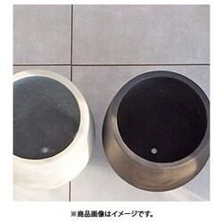 ヨドバシ.com - グリーンポット貿易部 テラニアス バルーン