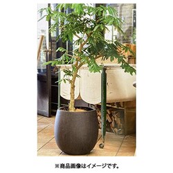 ヨドバシ.com - グリーンポット貿易部 テラニアス バルーン