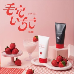 いちご とっておき 苺 ギフトセット 小林農園 わかば農法イチゴ 送料