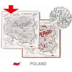 タオルハンカチ 25×25cm Libre Towel Handkerchief（リブレ タオルハンカチ） POLAND GR