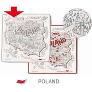 Libre Towel Handkerchief（リブレ タオルハンカチ） POLAND GR [タオルハンカチ 25×25cm]