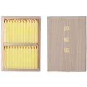 蜜蝋 あさみどり 太ダルマ48本入 桐箱