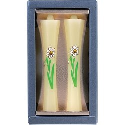 蜜蝋 茜 2本入 水仙 紙箱入
