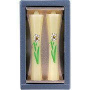蜜蝋 茜 2本入 水仙 紙箱入