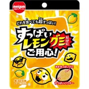 すっぱいレモングミだけにご用心 28g