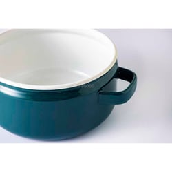 深鍋 22cm 鉄緑 匠（TAKUMI）シリーズ TKM-22DW G