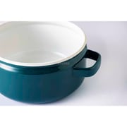深鍋 22cm 鉄緑 匠(TAKUMI)シリーズ TKM-22DW G