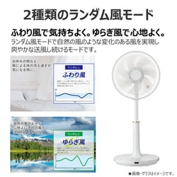 TOSHIBA TF-30AL28 ホワイト 扇風機 30cm Amazon | TOSHIBA(東芝) リビング扇風機 TF-30AL28 7枚羽根 風量