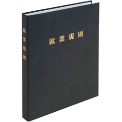高級就業規則ファイル（黒） 労基 29-FBK